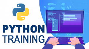 What Is Python Used For? A Beginner's Guide
